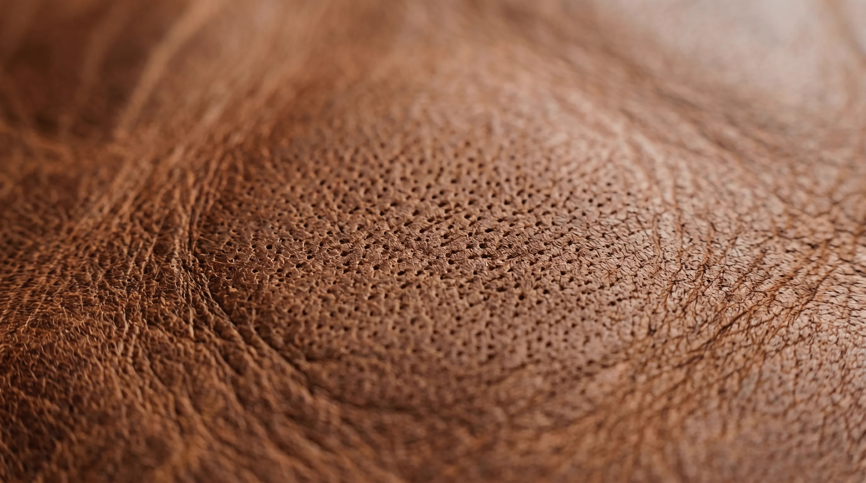 Aniline leather grain close-up showing visible hair follicle pores and natural dye penetration