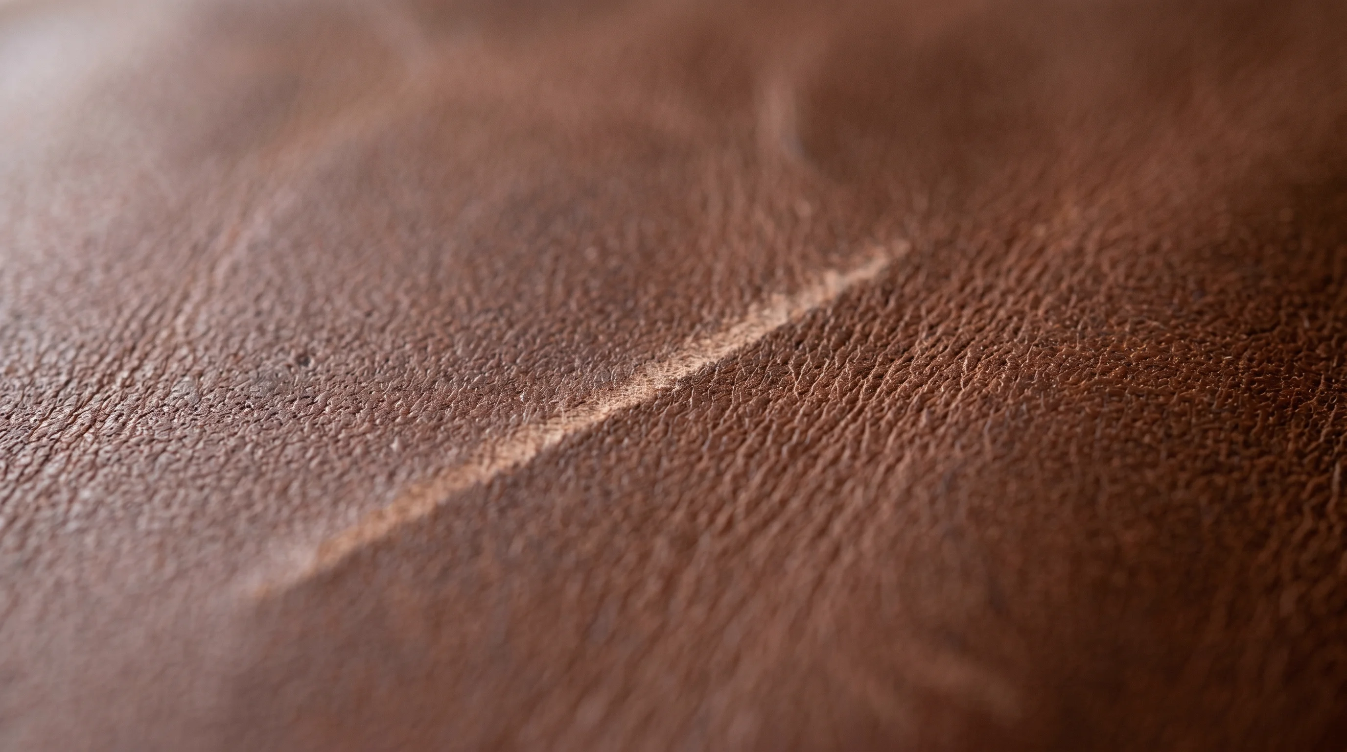 Fingernail scratch mark on aniline leather sofa showing displaced dye - scratch test demonstration